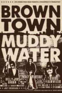 Brown town muddy water